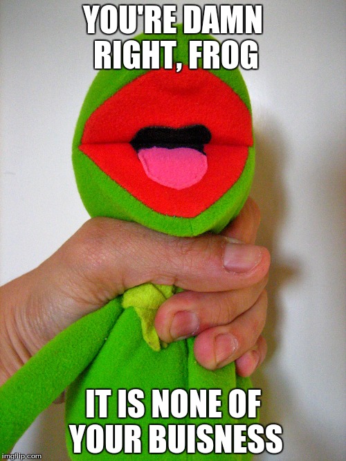 Kermit, I suggest you get out of there... | YOU'RE DAMN RIGHT, FROG; IT IS NONE OF YOUR BUISNESS | image tagged in funny,kermit the frog,stranger,new meme | made w/ Imgflip meme maker