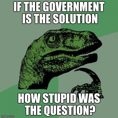 Philosoraptor | IF THE GOVERNMENT IS THE SOLUTION; HOW STUPID WAS THE QUESTION? | image tagged in memes,philosoraptor | made w/ Imgflip meme maker