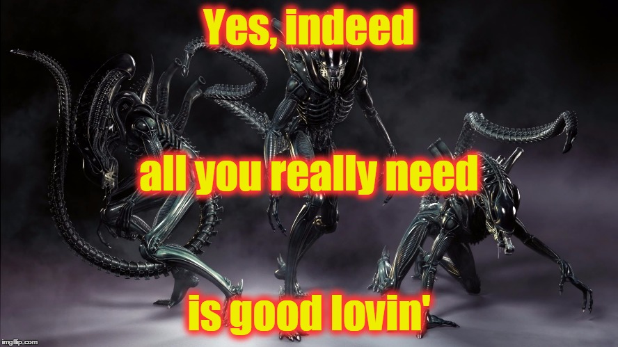 Yes, indeed is good lovin' all you really need | made w/ Imgflip meme maker