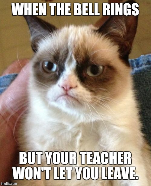 Grumpy Cat Meme | WHEN THE BELL RINGS; BUT YOUR TEACHER WON'T LET YOU LEAVE. | image tagged in memes,grumpy cat | made w/ Imgflip meme maker