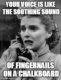 YOUR VOICE IS LIKE THE SOOTHING SOUND; OF FINGERNAILS ON A CHALKBOARD | made w/ Imgflip meme maker