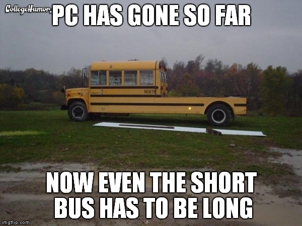 It's not a "short bus" | PC HAS GONE SO FAR; NOW EVEN THE SHORT BUS HAS TO BE LONG | image tagged in no bullshit business baby | made w/ Imgflip meme maker