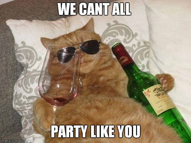 WE CANT ALL PARTY LIKE YOU | made w/ Imgflip meme maker
