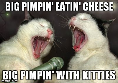 Jay-Z Kitties | BIG PIMPIN' EATIN' CHEESE; BIG PIMPIN' WITH KITTIES | image tagged in pimpin,song | made w/ Imgflip meme maker