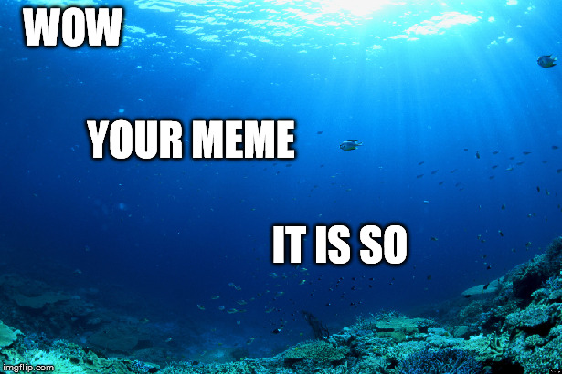 WOW IT IS SO YOUR MEME | made w/ Imgflip meme maker