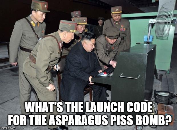 Time to get really scared! | WHAT'S THE LAUNCH CODE FOR THE ASPARAGUS PISS BOMB? | image tagged in memes,kim jong un,north korean computer,nsfw | made w/ Imgflip meme maker
