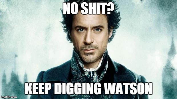 Sherlock Holmes | NO SHIT? KEEP DIGGING WATSON | image tagged in sherlock holmes | made w/ Imgflip meme maker
