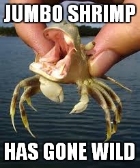 Hipposhrimp | JUMBO SHRIMP; HAS GONE WILD | image tagged in funny memes | made w/ Imgflip meme maker