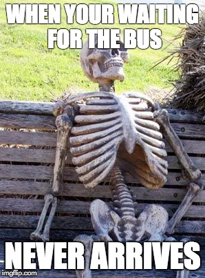 Waiting Skeleton | WHEN YOUR WAITING FOR THE BUS; NEVER ARRIVES | image tagged in memes,waiting skeleton | made w/ Imgflip meme maker