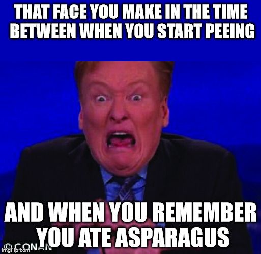 Asparagus Face | THAT FACE YOU MAKE IN THE TIME BETWEEN WHEN YOU START PEEING; AND WHEN YOU REMEMBER YOU ATE ASPARAGUS | image tagged in conan face,asparagus face,funny,funny memes,conan o'brien,memes | made w/ Imgflip meme maker