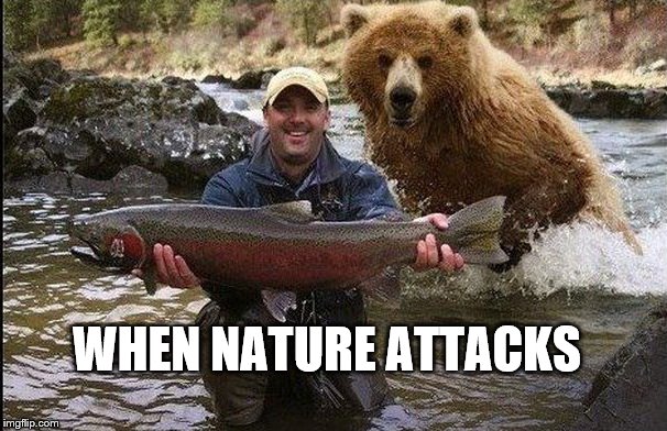 WHEN NATURE ATTACKS | image tagged in bare,nature based god | made w/ Imgflip meme maker