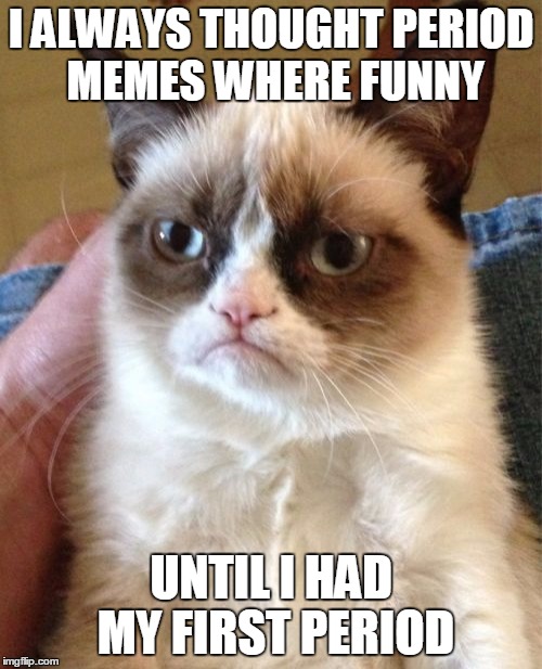 Grumpy Cat Meme | I ALWAYS THOUGHT PERIOD MEMES WHERE FUNNY; UNTIL I HAD MY FIRST PERIOD | image tagged in memes,grumpy cat | made w/ Imgflip meme maker