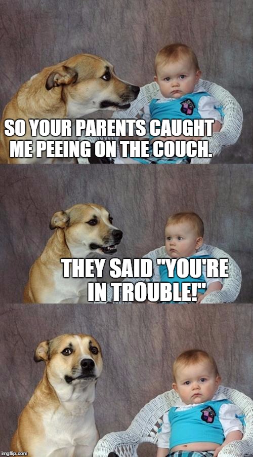 Dad Joke Dog | SO YOUR PARENTS CAUGHT ME PEEING ON THE COUCH. THEY SAID "YOU'RE IN TROUBLE!" | image tagged in memes,dad joke dog | made w/ Imgflip meme maker