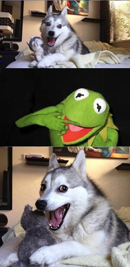 High Quality perverted Kermit Blank Meme Template