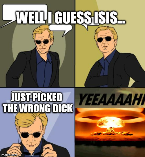 Horatio CSI Miami | WELL I GUESS ISIS... JUST PICKED THE WRONG DICK | image tagged in horatio csi miami | made w/ Imgflip meme maker