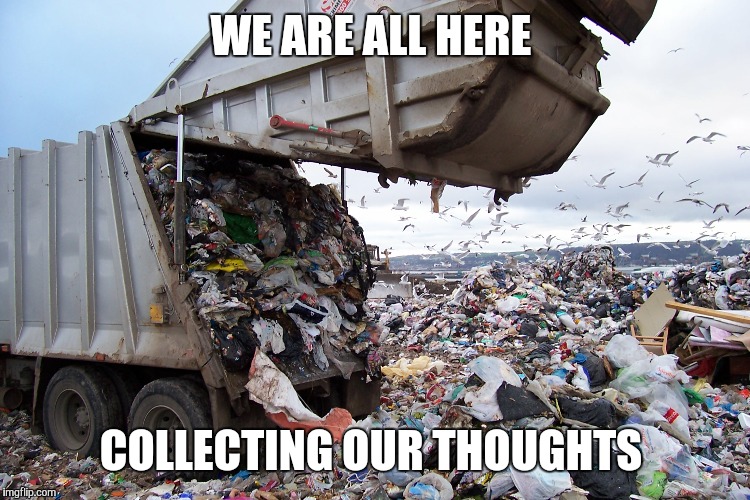 garbage dump | WE ARE ALL HERE COLLECTING OUR THOUGHTS | image tagged in garbage dump | made w/ Imgflip meme maker