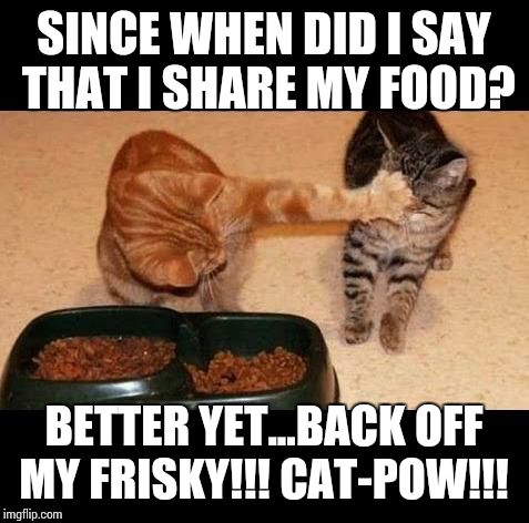 cats share food | SINCE WHEN DID I SAY THAT I SHARE MY FOOD? BETTER YET...BACK OFF MY FRISKY!!! CAT-POW!!! | image tagged in cats share food | made w/ Imgflip meme maker