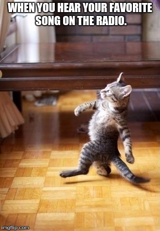 Cool Cat Stroll Meme | WHEN YOU HEAR YOUR FAVORITE SONG ON THE RADIO. | image tagged in memes,cool cat stroll | made w/ Imgflip meme maker