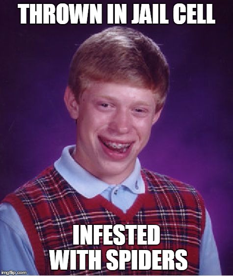 Bad Luck Brian Meme | THROWN IN JAIL CELL INFESTED WITH SPIDERS | image tagged in memes,bad luck brian | made w/ Imgflip meme maker