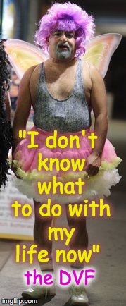 "I don't know what to do with my life now"; the DVF | image tagged in downvote fairy | made w/ Imgflip meme maker