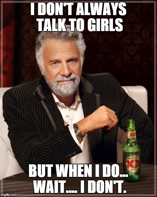 The Most Interesting Man In The World Meme | I DON'T ALWAYS TALK TO GIRLS BUT WHEN I DO... WAIT.... I DON'T. | image tagged in memes,the most interesting man in the world | made w/ Imgflip meme maker
