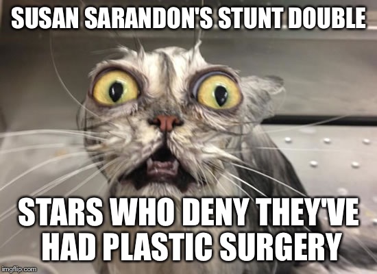 surprised cat | SUSAN SARANDON'S STUNT DOUBLE; STARS WHO DENY THEY'VE HAD PLASTIC SURGERY | image tagged in surprised cat | made w/ Imgflip meme maker