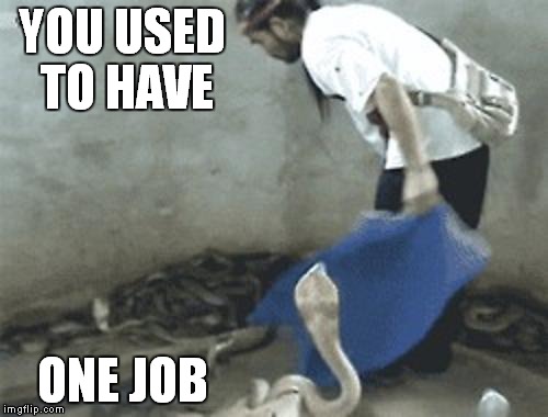 Too late for hazard pay? | YOU USED TO HAVE; ONE JOB | image tagged in you had one job,meme | made w/ Imgflip meme maker