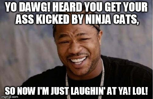 Yo Dawg Heard You Meme | YO DAWG! HEARD YOU GET YOUR ASS KICKED BY NINJA CATS, SO NOW I'M JUST LAUGHIN' AT YA! LOL! | image tagged in memes,yo dawg heard you | made w/ Imgflip meme maker
