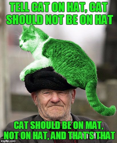 fat cat make hat flat | TELL CAT ON HAT, CAT SHOULD NOT BE ON HAT; CAT SHOULD BE ON MAT, NOT ON HAT, AND THAT'S THAT | image tagged in cat on a hat,memes | made w/ Imgflip meme maker
