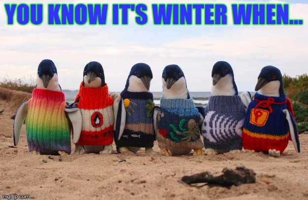 YOU KNOW IT'S WINTER WHEN... | image tagged in winter is coming | made w/ Imgflip meme maker
