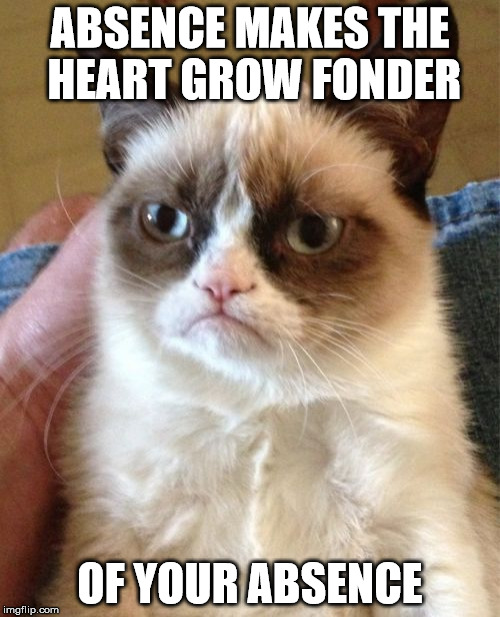 Grumpy Cat Meme | ABSENCE MAKES THE HEART GROW FONDER; OF YOUR ABSENCE | image tagged in memes,grumpy cat | made w/ Imgflip meme maker