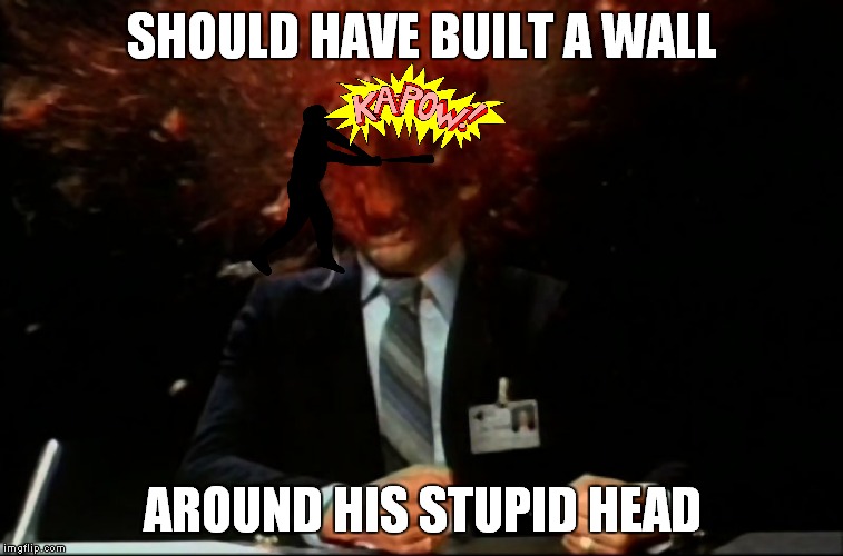 SHOULD HAVE BUILT A WALL AROUND HIS STUPID HEAD | made w/ Imgflip meme maker