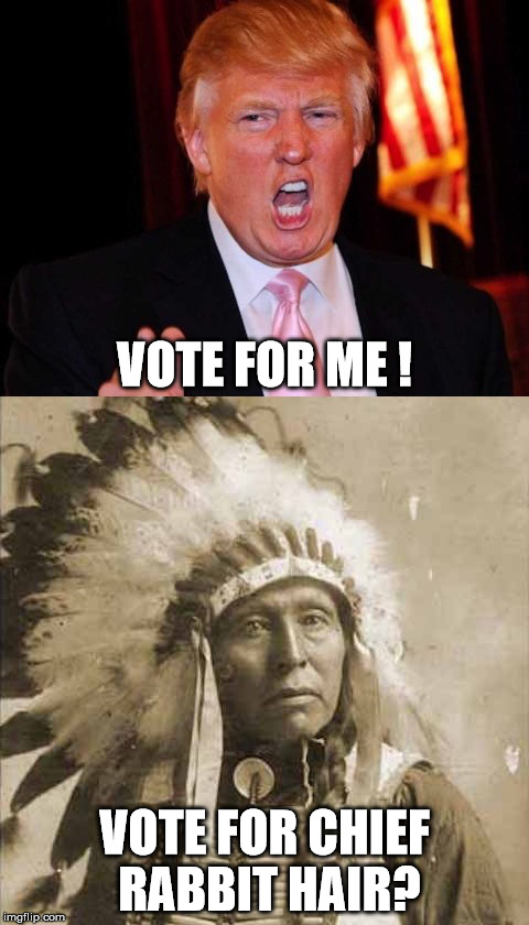 Donald Trump and Native American | VOTE FOR ME ! VOTE FOR CHIEF RABBIT HAIR? | image tagged in donald trump and native american | made w/ Imgflip meme maker