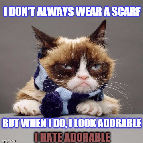 Grumpy Cat Winter | I DON'T ALWAYS WEAR A SCARF; BUT WHEN I DO, I LOOK ADORABLE; I HATE ADORABLE | image tagged in grumpy cat winter,scarf,adorable,kitty,meme,fluffy | made w/ Imgflip meme maker