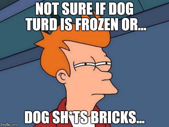 Futurama Fry Meme | NOT SURE IF DOG TURD IS FROZEN OR... DOG SH*TS BRICKS... | image tagged in memes,futurama fry | made w/ Imgflip meme maker