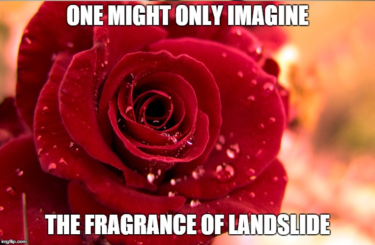 Feel the Bern | ONE MIGHT ONLY IMAGINE; THE FRAGRANCE OF LANDSLIDE | image tagged in feel the bern,momentum,authenic | made w/ Imgflip meme maker