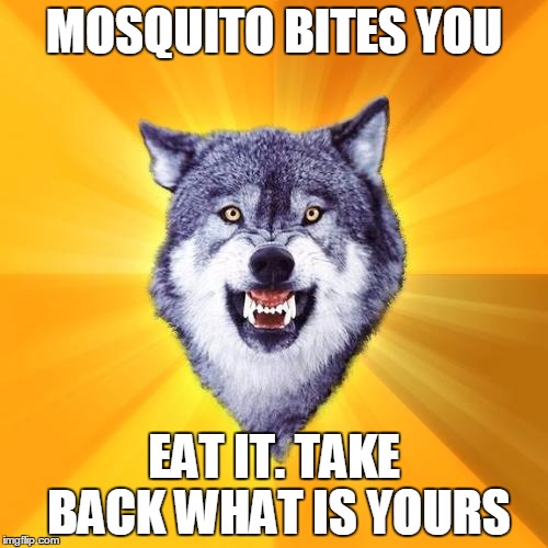 Courage Wolf | MOSQUITO BITES YOU; EAT IT. TAKE BACK WHAT IS YOURS | image tagged in memes,courage wolf | made w/ Imgflip meme maker