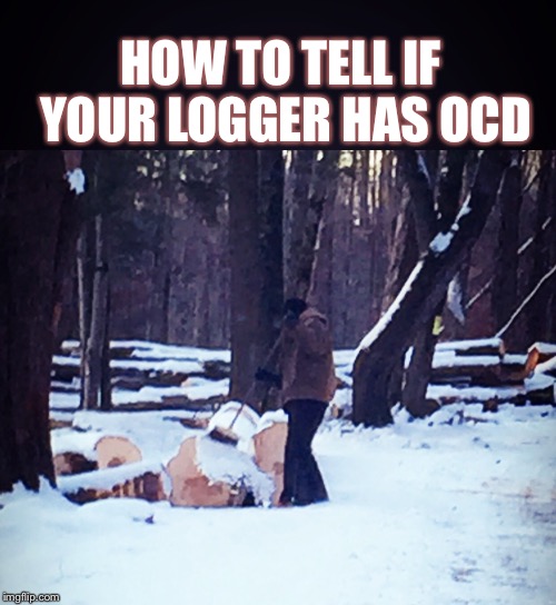 HOW TO TELL IF YOUR LOGGER HAS OCD | image tagged in logger ocd | made w/ Imgflip meme maker