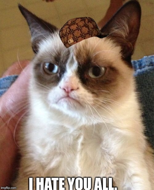 Grumpy Cat | I HATE YOU ALL. | image tagged in memes,grumpy cat,scumbag | made w/ Imgflip meme maker