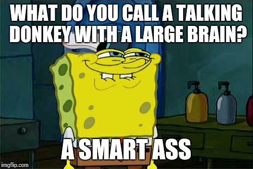 Don't You Squidward | WHAT DO YOU CALL A TALKING DONKEY WITH A LARGE BRAIN? A SMART ASS | image tagged in memes,dont you squidward | made w/ Imgflip meme maker