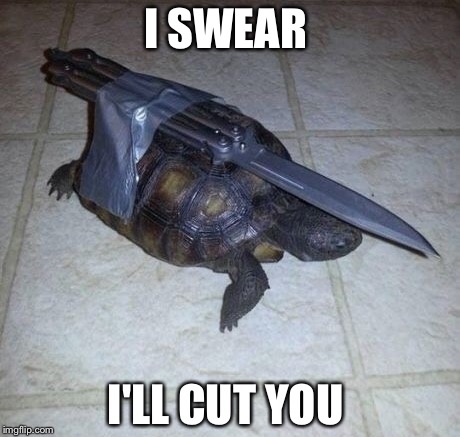 I SWEAR; I'LL CUT YOU | image tagged in original meme,turtle meme | made w/ Imgflip meme maker