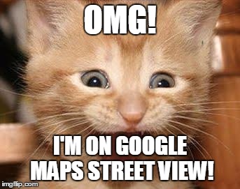 Excited Cat Meme | OMG! I'M ON GOOGLE MAPS STREET VIEW! | image tagged in memes,excited cat | made w/ Imgflip meme maker