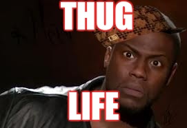Kevin Hart Meme | THUG; LIFE | image tagged in memes,kevin hart the hell,scumbag | made w/ Imgflip meme maker