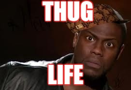 Kevin Hart | THUG; LIFE | image tagged in memes,kevin hart the hell,scumbag | made w/ Imgflip meme maker