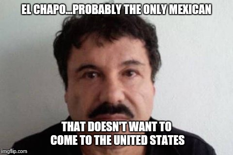 Not saying he is the only one...but probably. |  EL CHAPO...PROBABLY THE ONLY MEXICAN; THAT DOESN'T WANT TO COME TO THE UNITED STATES | image tagged in el chapo | made w/ Imgflip meme maker