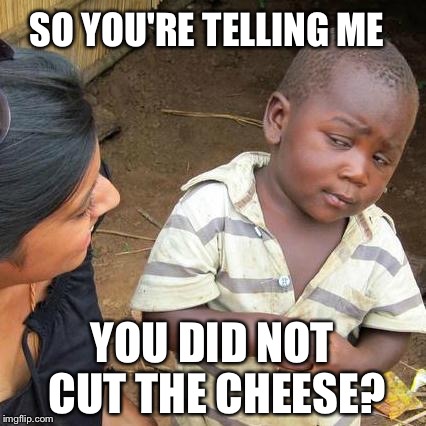 Third World Skeptical Kid | SO YOU'RE TELLING ME; YOU DID NOT CUT THE CHEESE? | image tagged in memes,third world skeptical kid | made w/ Imgflip meme maker