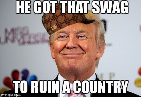 Donald trump approves | HE GOT THAT SWAG; TO RUIN A COUNTRY | image tagged in donald trump approves,scumbag | made w/ Imgflip meme maker