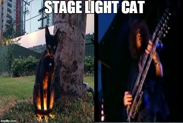 STAGE LIGHT CAT | image tagged in memes,side quest cat,slash,cool | made w/ Imgflip meme maker
