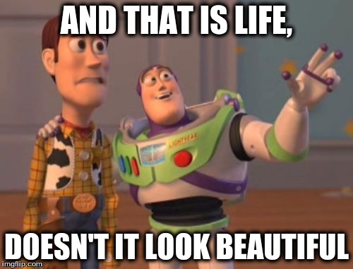 X, X Everywhere Meme | AND THAT IS LIFE, DOESN'T IT LOOK BEAUTIFUL | image tagged in memes,x x everywhere | made w/ Imgflip meme maker