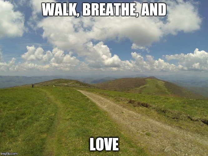 Walk | WALK, BREATHE, AND; LOVE | image tagged in hike,walk,nature,love | made w/ Imgflip meme maker